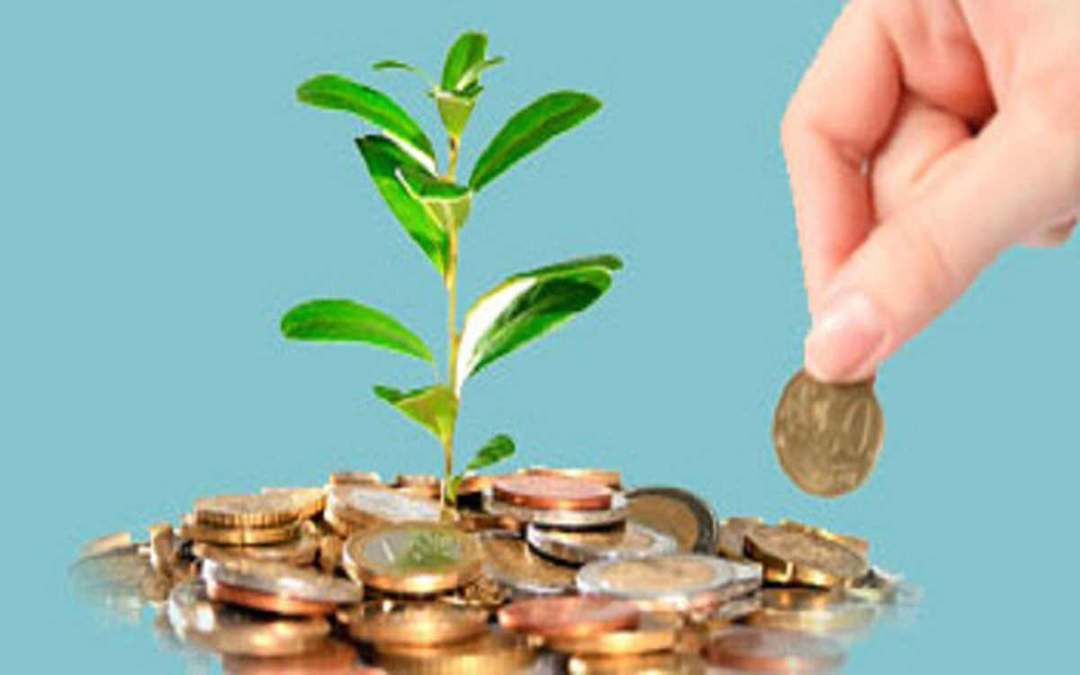 Mutual Fund